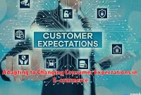 Adapting to Changing Consumer Expectations in E-commerce