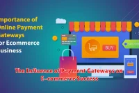 The Influence of Payment Gateways on E-commerce Success